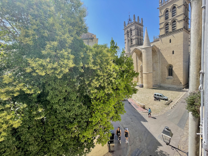 Offres de location Studio Montpellier (34000)