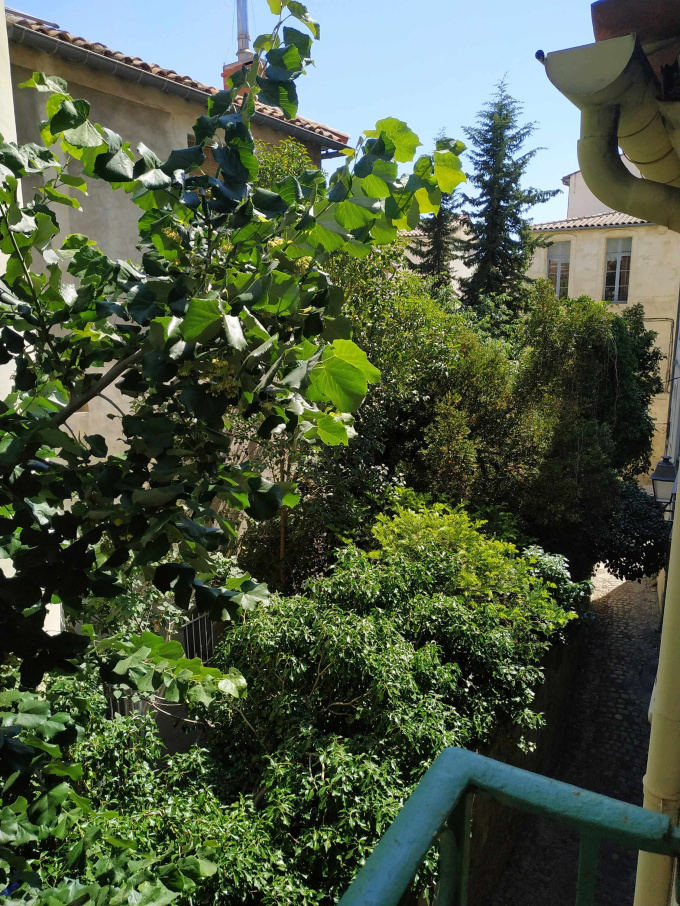 Offres de location Studio Montpellier (34000)